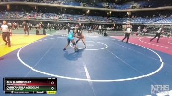 6A 165 lbs Cons. Round 2 - Amy G-Rodriguez, San Antonio Madison vs Oyinkansola Adeogun, Prosper Rock Hill