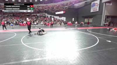 55 lbs Cons. Round 2 - Haven Havlovitz, Denmark Youth Wrestling vs Zehner Robison, Lakeland Wrestling Club