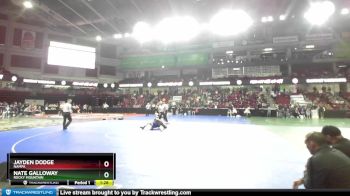 132 lbs Semifinal - Nate Galloway, Rocky Mountain vs Jayden Dodge, Nampa