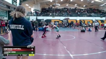 85 lbs Semifinal - Cooper Wing, Les Bois vs Cheyenne Hartzell, New Plymouth