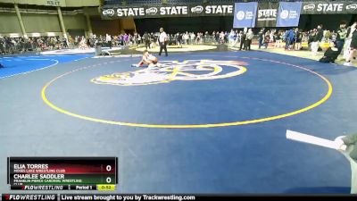 87 lbs 5th Place Match - Charlee Saddler, Franklin Pierce Cardinal Wrestling Club vs Elia Torres, Moses Lake Wrestling Club