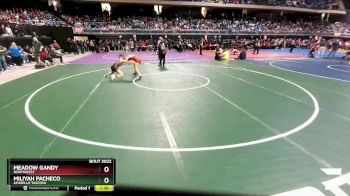 5A 114 lbs Champ. Round 1 - Meadow Gandy, Northwest vs Miliyah Pacheco, Amarillo Tascosa