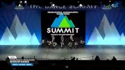 Premier Athletics - Knoxville North - Whitetip Sharks [2025 Youth - Hip Hop - Small Semis] 2025 The Dance Summit