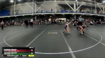 76 lbs Round 2 (6 Team) - Hudson Beach, Ragin Raisins Catawba vs Seamus Healey, Yale Street