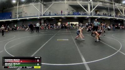 76 lbs Round 2 (6 Team) - Hudson Beach, Ragin Raisins Catawba vs Seamus Healey, Yale Street