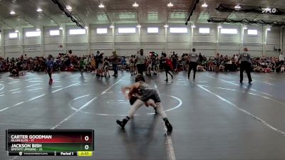 68 lbs Finals (2 Team) - Carter Goodman, Killer Elite vs Jackson Bish, Upstate Uprising