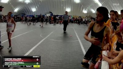 68 lbs Round 2 (10 Team) - Carter Vollmer, Michigan Gold Pittbulls vs Maxtyn Hallowell, Rising Kingz Black