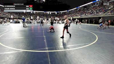 89 lbs Round Of 32 - CJ Dreshman, Canon-McMillan vs Caleb Judice, Bald Eagle Area