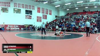 132 lbs Semifinal - Sal Palmisano, Mayfield vs Diego Stropko, Mentor