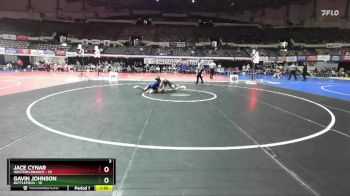 132 lbs Semis & Wb (16 Team) - Gavin Johnson, Battlefield vs Jace Cynar, Western Branch