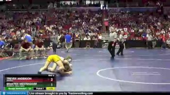 3 lbs Quarterfinal - Braxten Westendorf, Waverly-Shell Rock vs Trever Anderson, Ankeny