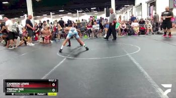 92 lbs Round 3 (4 Team) - Tristan Dee, Scorpions vs Cameron Lewis, Mat Troopers