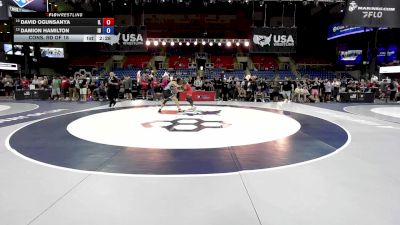 165 lbs Cons. Rd Of 16 - David Ogunsanya, IL vs Damion Hamilton, ID