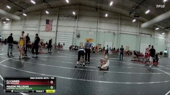 120 lbs Quarterfinal - Cj Caines, Mat Assassins vs Mason Milligan, Northern Delaware Knights