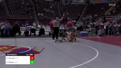 160 lbs Cons Round 3 - Andrew Harmon, Bethlehem Cath vs Adam Rohan, North Allegheny