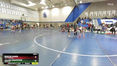 56-62 lbs Round 3 - Roscoe Sands, Team Prestige vs Lillian Sagastume, Westlake