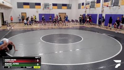 106 lbs Cons. Round 5 - Aiden Irvin, Alpha Wolves vs Roman Jaimes, Desert Fox