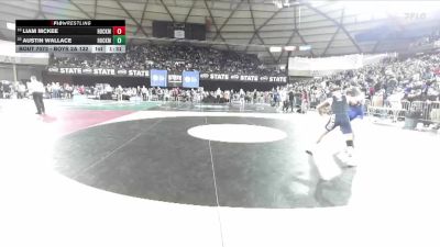 Boys 2A 132 lbs Champ. Round 1 - Austin Wallace, Hockinson vs Liam McKee, Hockinson