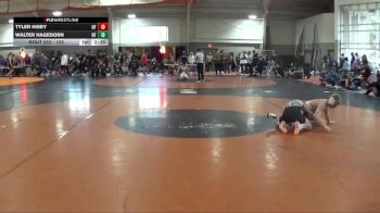 125 lbs Champ. Round 2 - Tyler Hisey, Indiana Tech vs Walter Hagedorn, University Of Indianapolis