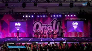 USA Wildcats - C4 [2025 L4 Senior - Small - B Day 2] 2025 One Up Grand Nationals