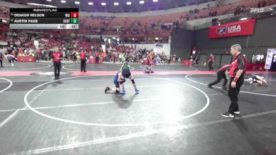 110 lbs 1st Place Match - Deakon Nelson, Wisconsin vs Austin Page, AF Green Demons