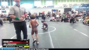 48 lbs Cons. Round 3 - Abel Wesolowski, Grappling House WC vs Amazin` Hall, Roundtree