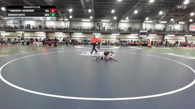110 lbs Consi Of 16 #1 - Andrew Uszenski, Valley Central vs Gideon Kaye, Brooklyn Technical