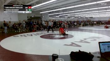 125 lbs Champ. Round 1 - Luis Avalos-Ceballos, Central vs Roman McKinney, UW - La Crosse