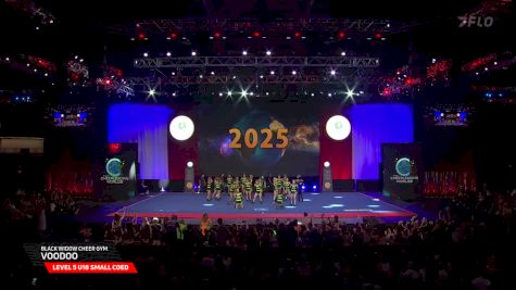 Black Widow Cheer Gym - Voodoo [2025 L5 U18 Small Coed Semis] 2025 The Cheerleading Worlds