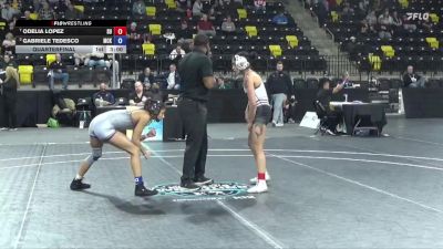 103 lbs Quarterfinal - Odelia Lopez, Schreiner University vs Gabriele Tedesco, McKendree University