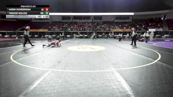 125 lbs Semifinal - Aiden Scheeringa, Liberty vs Trevor Wilcox, Thomas More