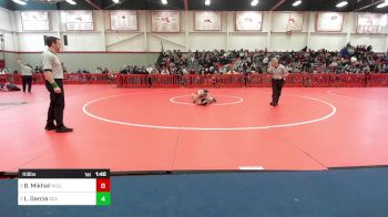 113 lbs Semifinal - Bavly Mikhail, Holliston vs Luis Garcia, Bristol County/Dighton Rehoboth