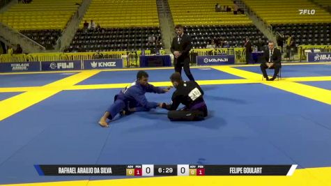 Felipe Goulart vs Rafhael Araujo Da Silva 2025 World Jiu-Jitsu IBJJF Championship