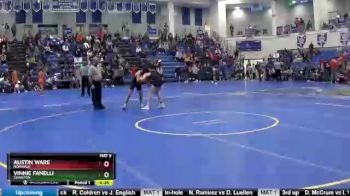 113 lbs Cons. Round 4 - Austin Ware, NORWALK vs Vinnie Fanelli, SWANTON