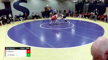 135 lbs. Cons. Round 4 - Alexis Rusley, Liberty North vs Audrey Declue, St. Clair