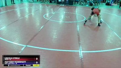 130 lbs Semis & 1st Wrestleback (8 Team) - Lincoln Steele, Idaho vs Matthew McDermott, New York Gold