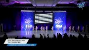 Pivot Performance Arts - Tiny Dancer [2025 Mini - Contemporary/Lyrical - Large Day 2] 2025 NDA All-Star National Championship