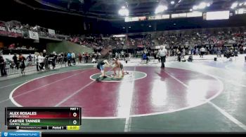 113 lbs Cons. Round 3 - Carter Tanner, Central Valley vs Alex Rosales, American Falls