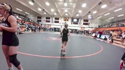 110 lbs Quarterfinal - Cadence Johnson, DouglasSD vs Harley Tillett, Lovell