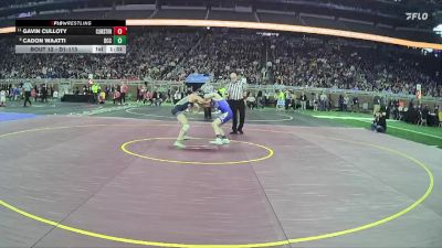 D1-113 lbs Champ. Round 1 - Gavin Culloty, Clarkston HS vs Cadon Waatti, Detroit Catholic Central HS