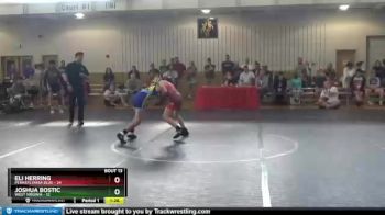 83 lbs Quarters & 1st Wb (16 Team) - Eli Herring, Pennsylvania Blue vs Joshua Bostic, West Virginia