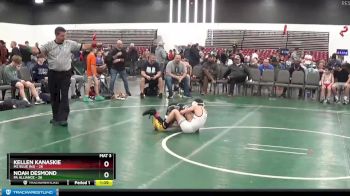 65 lbs Placement Matches (8 Team) - Kellen Kanaskie, M2 Blue (NJ) vs Noah Desmond, PA Alliance
