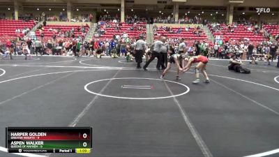 100 lbs Round 5 (6 Team) - Harper Golden, Greater Heights vs Aspen Walker, Queens Of Mayhem