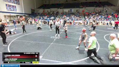 66 lbs Quarterfinal - Aria Bushaw, Carolina Reapers vs Logan Ahlgren, C2x