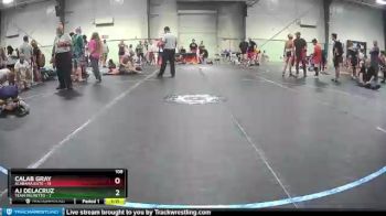 108 lbs Round 7 (8 Team) - AJ DeLacruz, Team Palmetto vs Calab Gray, Alabama Elite