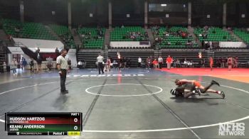 106 lbs Cons. Round 3 - Keanu Anderson, Jasper vs Hudson Hartzog, Alexandria HS