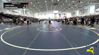 63 lbs Semifinal - Cabela Trail, Brawler Elite vs Aiden Daghestani, NWAA