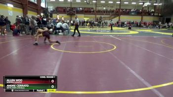 113 lbs Cons. Round 1 - Allen Woo, Montini Catholic vs Andre Cerrato, Bethlehem Catholic