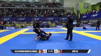 Andy Lin vs Felix Protásio Soares Da Conceiç 2025 European Jiu-Jitsu IBJJF Championship