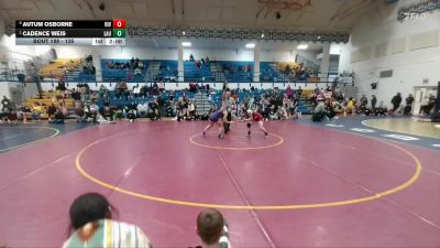 135 lbs 1st Place Match - Cadence Weis, Laurel vs Autum Osborne, Riverton